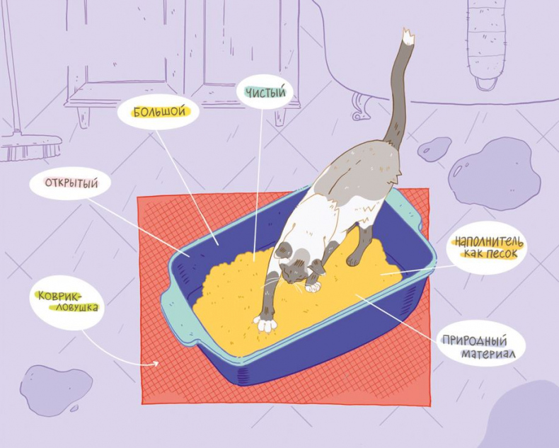 Иллюстрация к книге — Секреты кошек. Как понять кошку и стать ей другом [i_045.jpg]