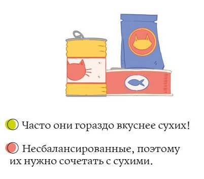 Иллюстрация к книге — Секреты кошек. Как понять кошку и стать ей другом [i_048.jpg]