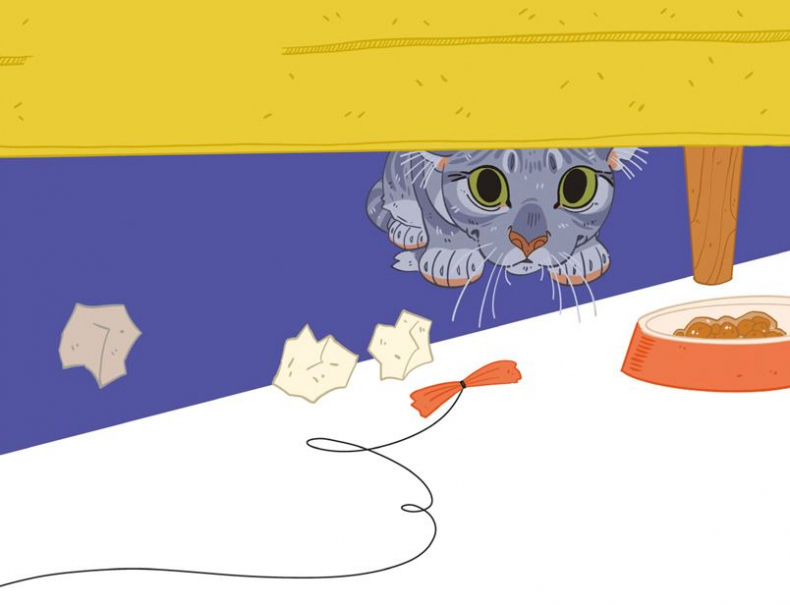 Иллюстрация к книге — Секреты кошек. Как понять кошку и стать ей другом [i_052.jpg]