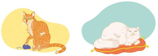 Иллюстрация к книге — Секреты кошек. Как понять кошку и стать ей другом [i_054.jpg]