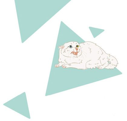 Иллюстрация к книге — Секреты кошек. Как понять кошку и стать ей другом [i_066.jpg]