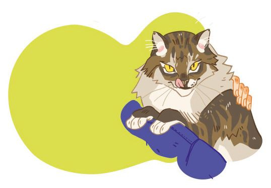 Иллюстрация к книге — Секреты кошек. Как понять кошку и стать ей другом [i_069.jpg]