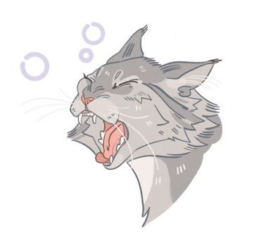 Иллюстрация к книге — Секреты кошек. Как понять кошку и стать ей другом [i_070.jpg]