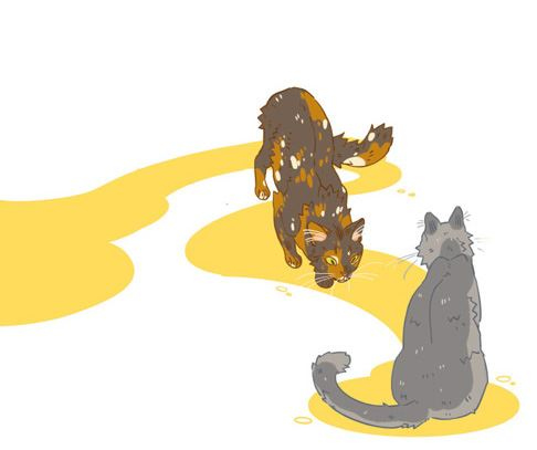 Иллюстрация к книге — Секреты кошек. Как понять кошку и стать ей другом [i_071.jpg]