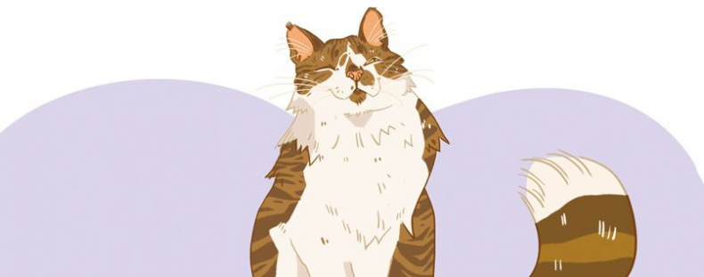 Иллюстрация к книге — Секреты кошек. Как понять кошку и стать ей другом [i_075.jpg]