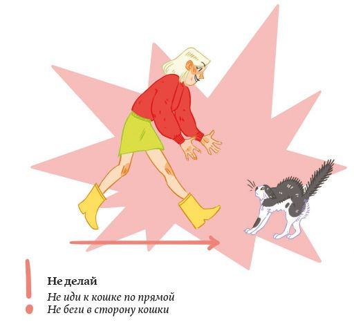 Иллюстрация к книге — Секреты кошек. Как понять кошку и стать ей другом [i_078.jpg]