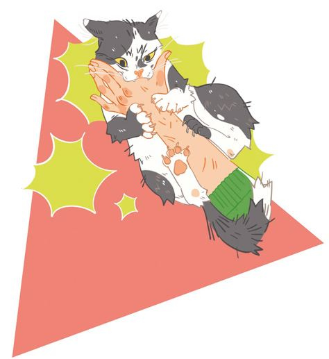 Иллюстрация к книге — Секреты кошек. Как понять кошку и стать ей другом [i_082.jpg]