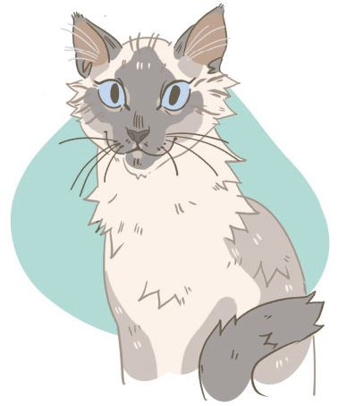 Иллюстрация к книге — Секреты кошек. Как понять кошку и стать ей другом [i_083.jpg]