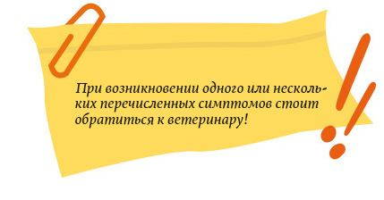 Иллюстрация к книге — Секреты кошек. Как понять кошку и стать ей другом [i_086.jpg]