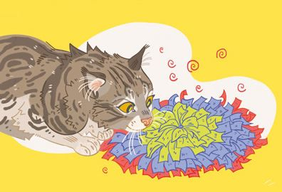 Иллюстрация к книге — Секреты кошек. Как понять кошку и стать ей другом [i_089.jpg]