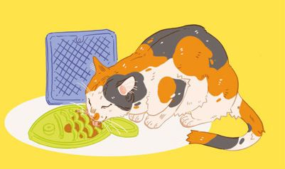 Иллюстрация к книге — Секреты кошек. Как понять кошку и стать ей другом [i_090.jpg]