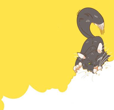 Иллюстрация к книге — Секреты кошек. Как понять кошку и стать ей другом [i_092.jpg]