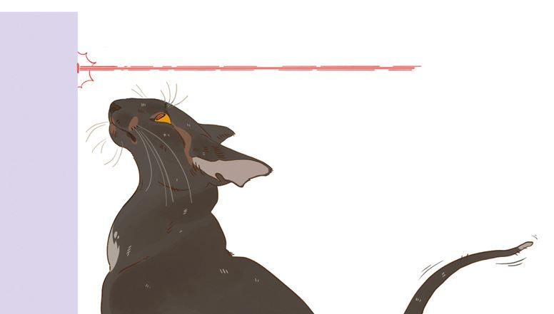 Иллюстрация к книге — Секреты кошек. Как понять кошку и стать ей другом [i_095.jpg]