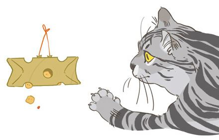 Иллюстрация к книге — Секреты кошек. Как понять кошку и стать ей другом [i_103.jpg]