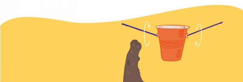 Иллюстрация к книге — Секреты кошек. Как понять кошку и стать ей другом [i_105.jpg]