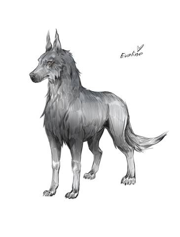 Иллюстрация к книге — Князь шаман. Том 2 [i_002.jpg]