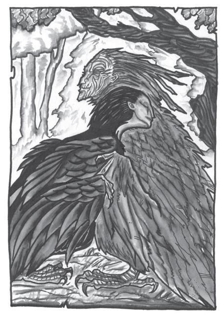 Иллюстрация к книге — Земля [i_005.jpg]