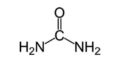 Иллюстрация к книге — Фильтруй! Как работают наши печень и почки [_6.jpg]