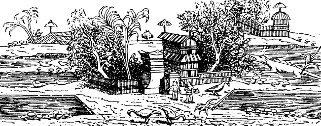 Иллюстрация к книге — Династия Птолемеев. История Египта в эпоху эллинизма [i_004.jpg]