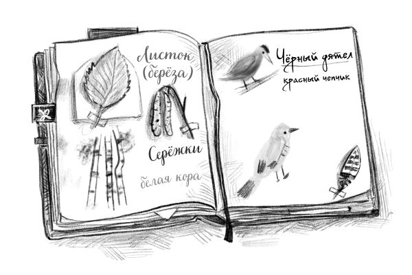 Иллюстрация к книге — Талисман четырёх стихий [i_007.jpg]