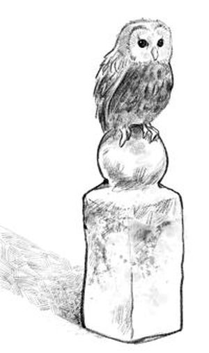 Иллюстрация к книге — Талисман четырёх стихий [i_018.jpg]