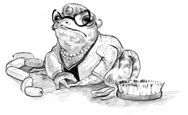 Иллюстрация к книге — Талисман четырёх стихий [i_019.jpg]