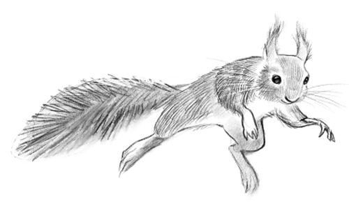 Иллюстрация к книге — Талисман четырёх стихий [i_049.jpg]