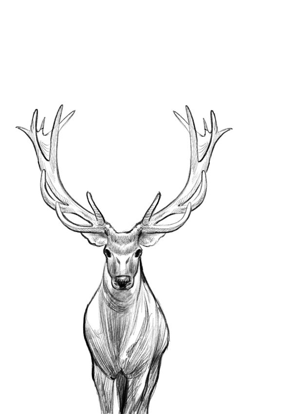 Иллюстрация к книге — Талисман четырёх стихий [i_052.jpg]