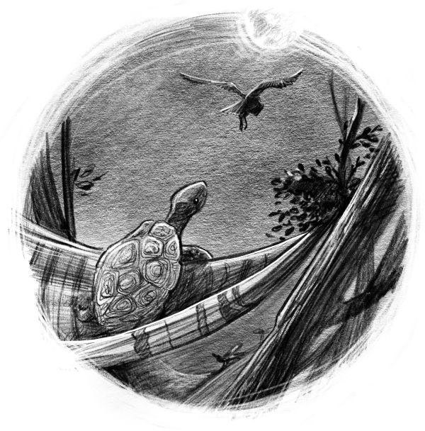 Иллюстрация к книге — Талисман четырёх стихий [i_053.jpg]