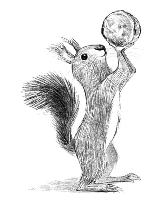 Иллюстрация к книге — Талисман четырёх стихий [i_061.jpg]