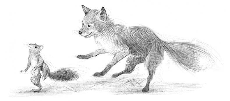 Иллюстрация к книге — Говорящий лес [i_007.jpg]