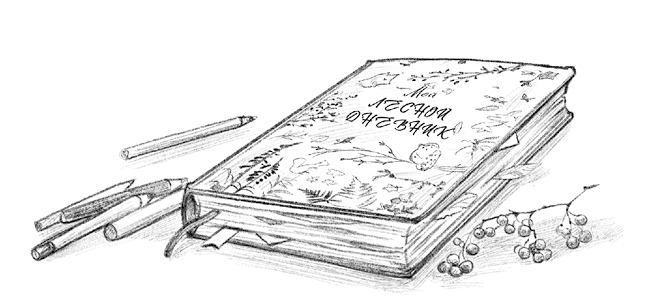 Иллюстрация к книге — Говорящий лес [i_012.jpg]