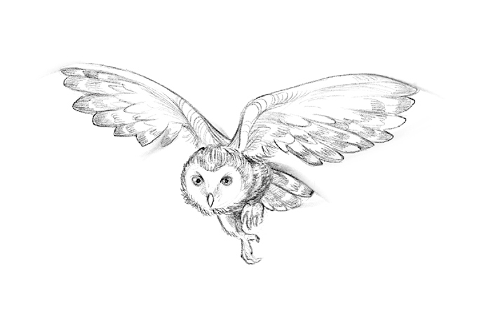 Иллюстрация к книге — Говорящий лес [i_015.jpg]