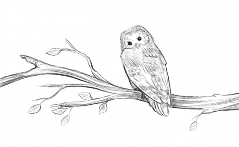 Иллюстрация к книге — Говорящий лес [i_026.jpg]