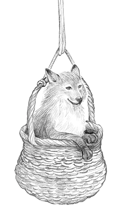 Иллюстрация к книге — Говорящий лес [i_037.jpg]