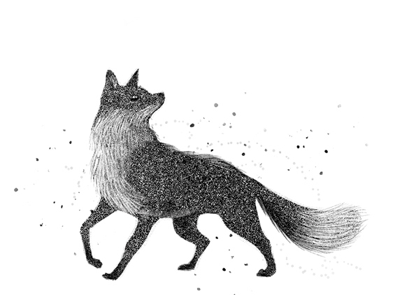 Иллюстрация к книге — Говорящий лес [i_050.jpg]