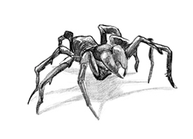 Иллюстрация к книге — Говорящий лес [i_056.jpg]