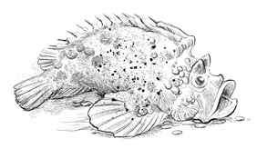 Иллюстрация к книге — Говорящий лес [i_057.jpg]