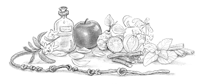 Иллюстрация к книге — Говорящий лес [i_068.jpg]