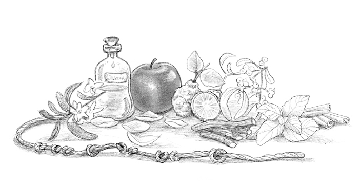 Иллюстрация к книге — Говорящий лес [i_087.jpg]