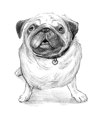 Иллюстрация к книге — Говорящий лес [i_088.jpg]