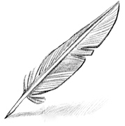 Иллюстрация к книге — Говорящий лес [i_118.jpg]