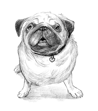 Иллюстрация к книге — Говорящий лес [i_137.jpg]