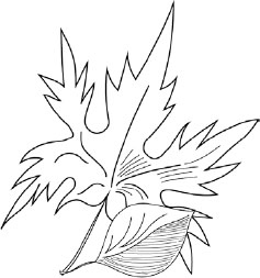 Иллюстрация к книге — Две вечности. Асфиксия [i_009.jpg]