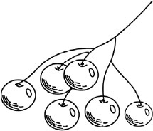 Иллюстрация к книге — Две вечности. Асфиксия [i_011.jpg]