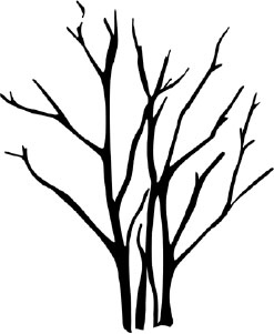 Иллюстрация к книге — Две вечности. Асфиксия [i_017.jpg]