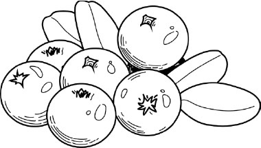 Иллюстрация к книге — Две вечности. Асфиксия [i_039.jpg]