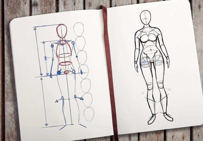 Иллюстрация к книге — Референс. Дорога к цвету [_51f1df08c5afb6d3b2e0d7956139f6a7.jpg]