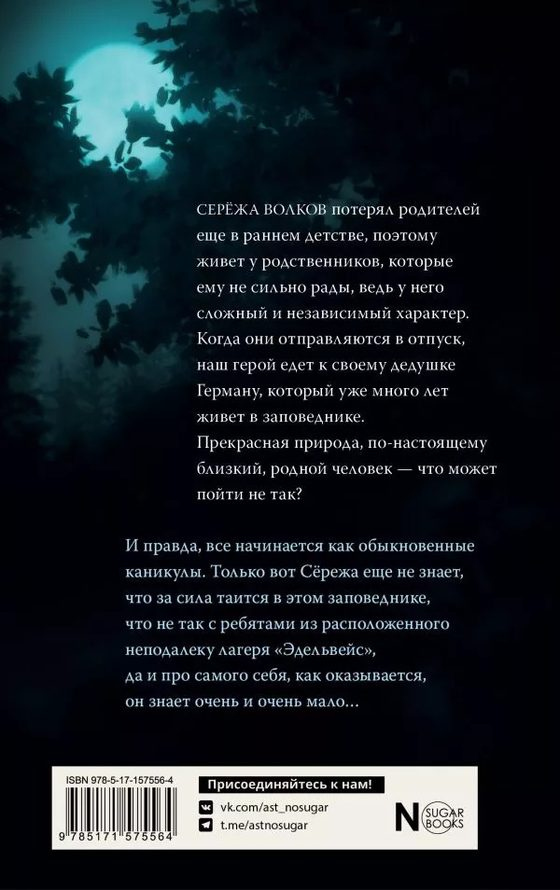 Иллюстрация к книге — Каникулы в Чернолесье [i_001.jpg]