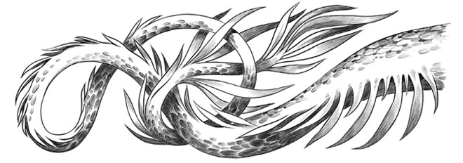 Иллюстрация к книге — Четвертое крыло [i_043.jpg]